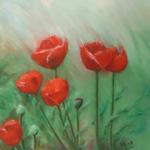 Poppies 2005 - SOLD